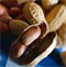 Allergie gegen N�sse