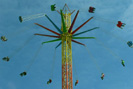 Karrussel Schwindelgef�hl