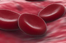 Rote Blutk�rperchen bei Eisenmangel