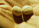 Eisentherapie Tabletten