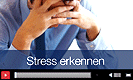 Stress erkennen