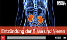 Entz�ndung der Blase und Nieren