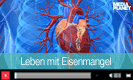 Leben mit Eisenmangel