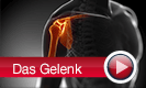 Gelenke - wie sch�tzen