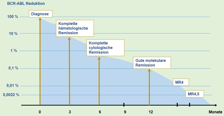 Meilensteine CML