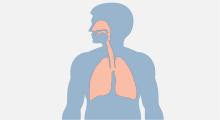 Asthma: Pfeifende Atemgeräusche und Atemnot