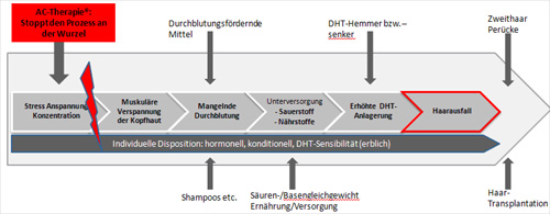 ac therapie haarausfall