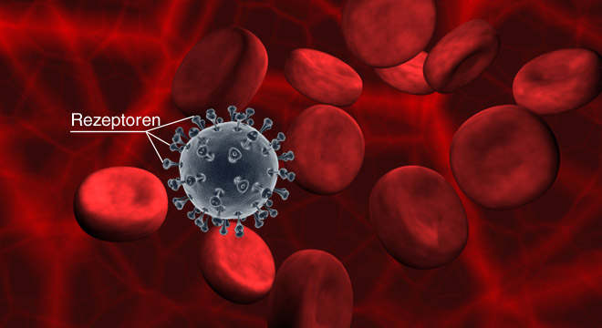 AIDS: Humanes Immundeffizienz-Virus (HIV)