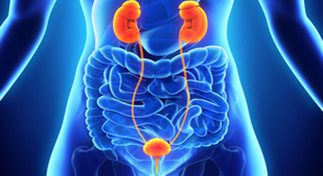 Retrograde Urographie: Röntgenuntersuchung des Harntraktes mittels Kontrastmittel