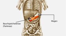 Bauchspeicheldrüsenkrebs: Bösartige Veränderung von Zellen