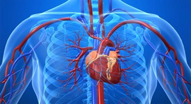 Herzmuskelentzundung Myokarditis