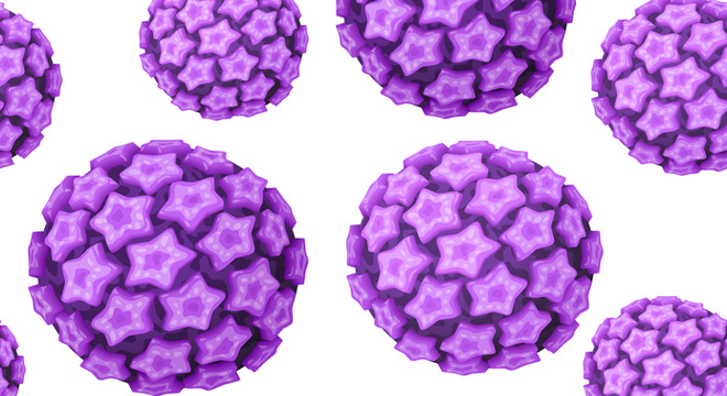 Das HPV-Virus ist für Genitalwarzen und Feigwarzen verantwortlich