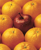 orangen apfel früchte